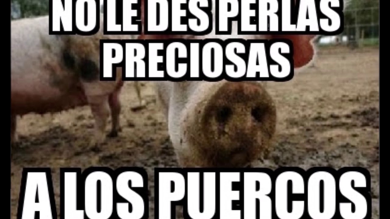 No Den las Perlas a los Puercos Cerdos. - YouTube