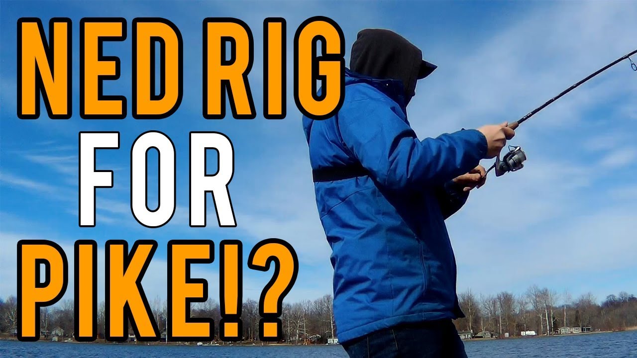 Pike On a Ned Rig? - Bass Fishing Michigan 