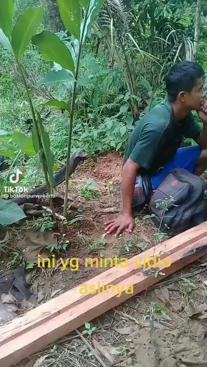 Orang dipatok ular cobra