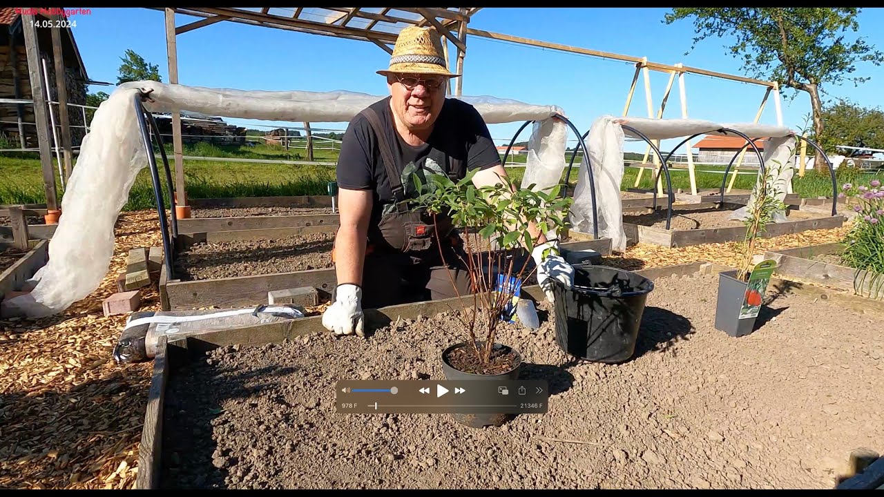 RHG 2024#44 - Polina und Gojibeere kommen in den Garten