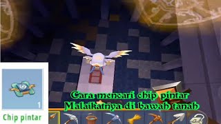 Cara Mencari Chip Pintar Mini World Survival