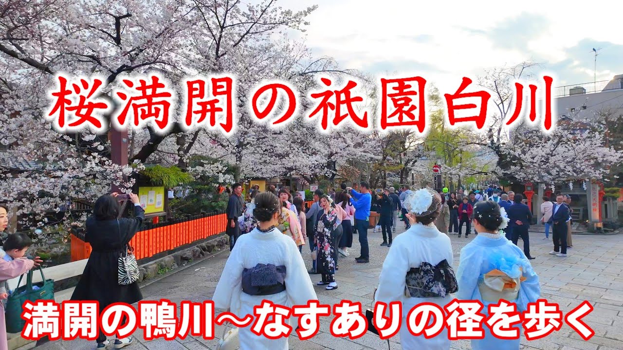 京都12か月　まとめ 7月の京都 (京都12か月) : Amazon.sg: Books