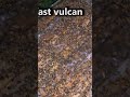 #BUCKFAST #linia #Vulcan przed karmieniem #virlashort #viral #foryou #beekeeping #pszczelarstwo