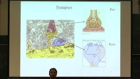 Advanced Lecture 1/3 : Narrow escape theory and applications, U. of Cambridge.