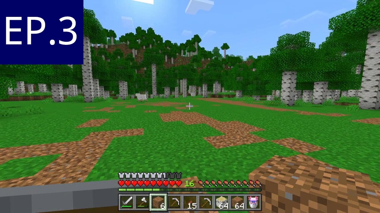 Deforestation and dirt-work