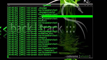 Backtrack codename[whydah]-Sqlmap