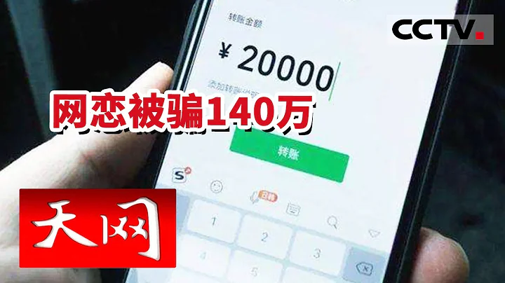《天网》遇“真命天子”？女子网恋被骗140万 警方跨越8省抓获16人 破获特大电信网络诈骗案！ 20221110 | CCTV社会与法 - 天天要闻