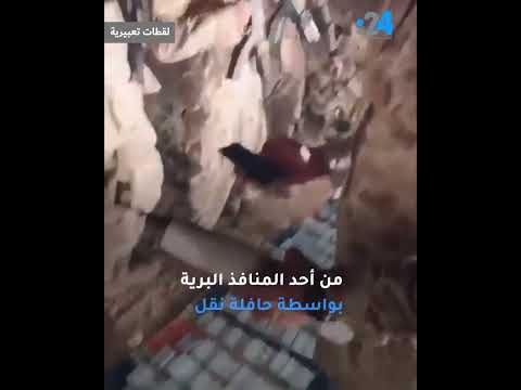 السعودية تضبط تنظيما إجراميا متهم ب غسل الأموال