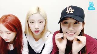 170717 [다원/여름/미기] 아무송대잔치2