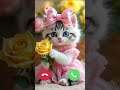 Cute Cat Calling Ringtone Flower Cat 💞 #cute #ringtone #flowers #call #calling #cat #smartphone