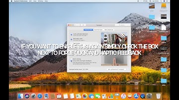 HOW TO DISABLE OR ENABLE FORCE CLICK AND HAPTIC FEEDBACK IN HIGH SIERRA
