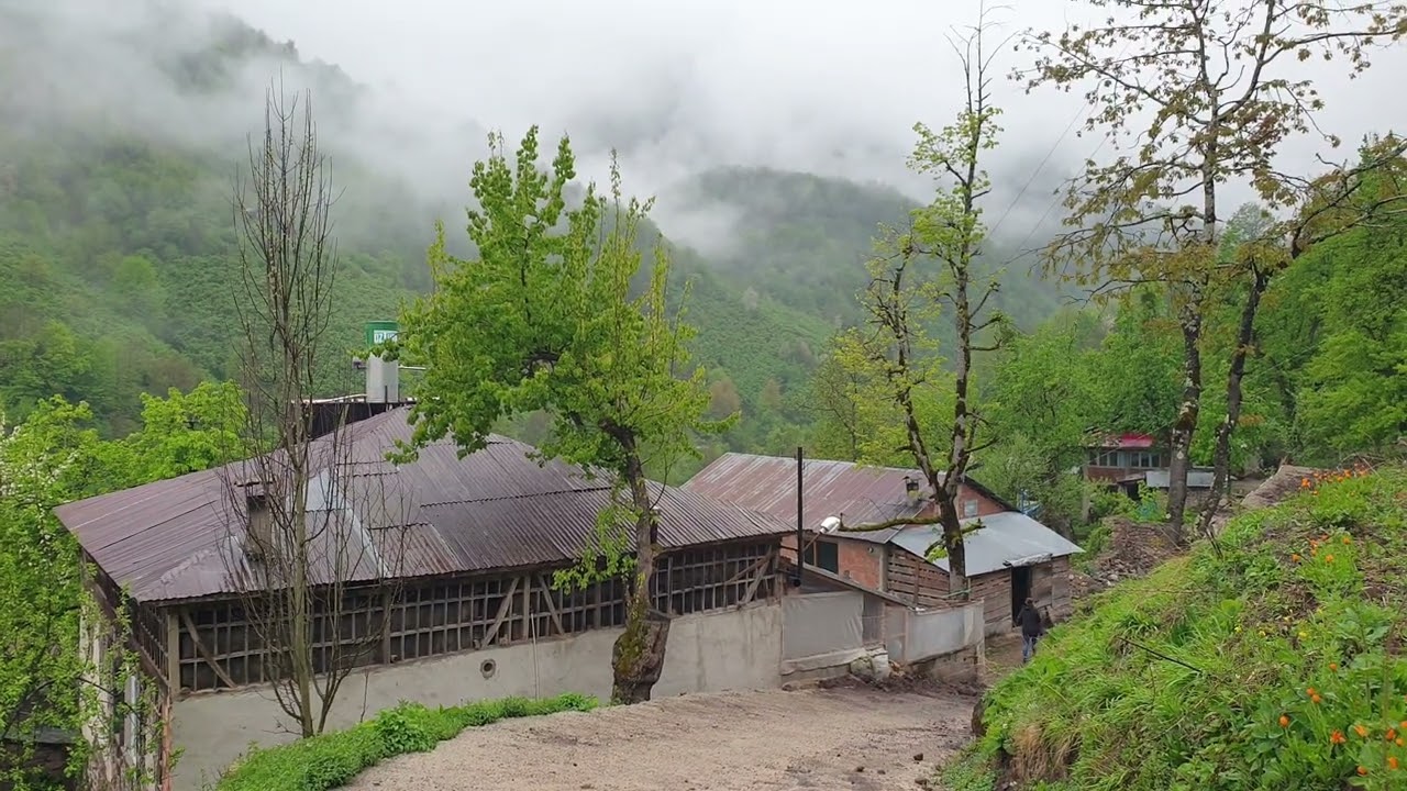 Dereli akkaya köyü