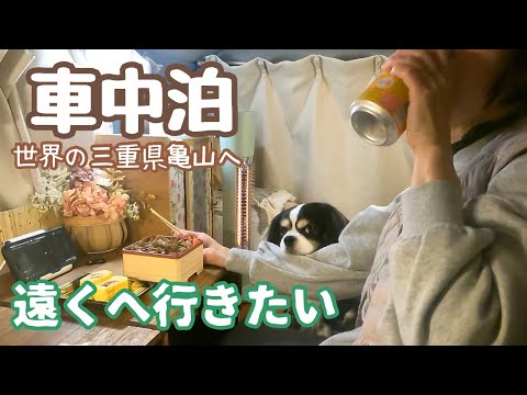 どこか遠くへ行きたい50代看護師と犬1匹。世界の亀山へ行ってみる:前編 /亀山サンシャインパーク/かめやま食堂/亀山城跡/東海道亀山宿/亀山PA/名阪関ドライブイン/榊原温泉 榊原館/ぎゅーとら