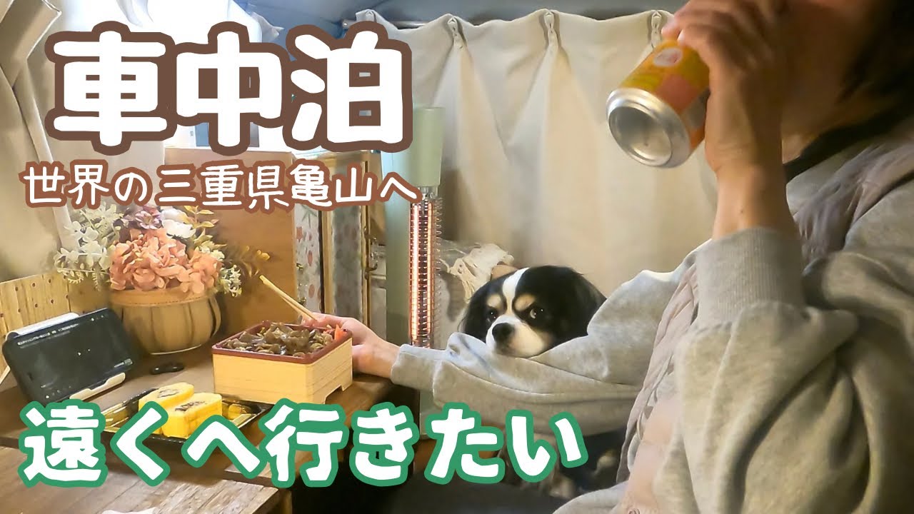どこか遠くへ行きたい50代看護師と犬1匹。世界の亀山へ行ってみる：前編 /亀山サンシャインパーク/かめやま食堂/亀山城跡/東海道亀山宿/亀山PA/名阪関ドライブイン/榊原温泉　榊原館/ぎゅーとら