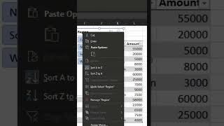 Filter using Slicer #excel #exceltips #spreadsheet #office #exceltutorial  #shorts #shortsfeed