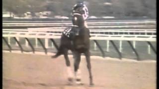 Bob Costas Features Secretariat Horse Racing's Biggest Hero  imasportsphile