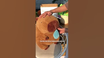 Capybara Chảy Nước Mũi Siêu Hot #gấubông #gaubongonline #capybara #shorts