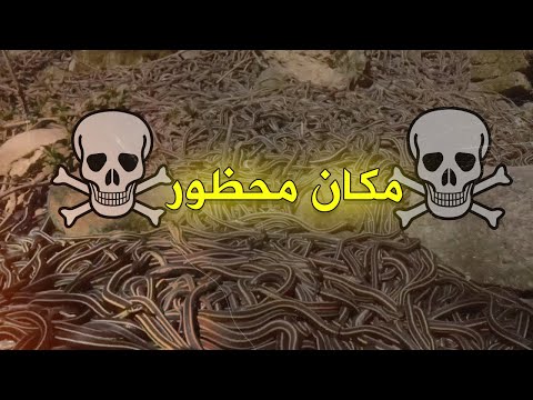 دولة الافاعي مكان لا يغفر اي خطأ ابدا 