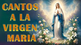 LA CANCIÓN DE LA VIRGEN MARIA❤️️ MAS HERMOSA DEL MUNDO 2024❤️️ by Hermosa Musica Catolica 688 views 23 hours ago 1 hour, 21 minutes