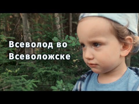 Video: Vsevolozhsk-ə Necə Getmək Olar