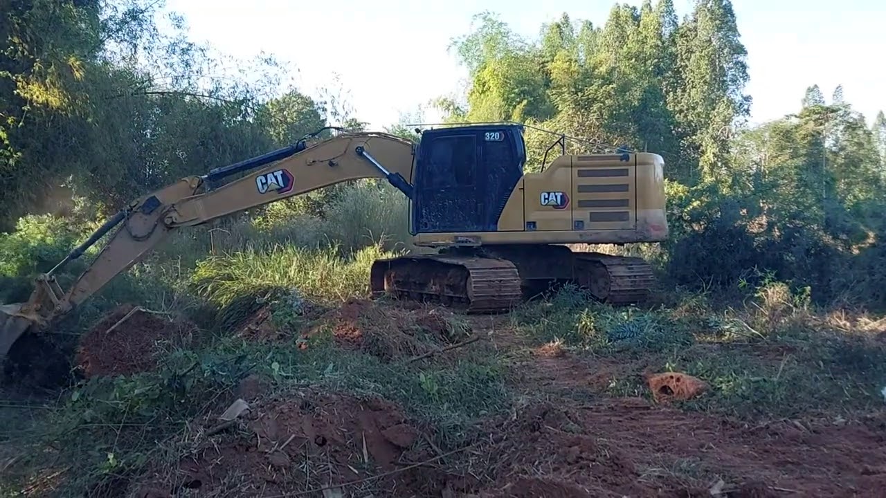 ตีป่าริมลำห้วยยามเย็น...กับกอไผ่ของคู่กัน...