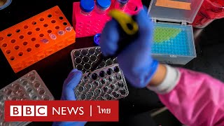 เทคโนโลยีกระตุ้นสเต็มเซลล์ อีกความก้าวหน้าของวงการแพทย์ - BBC News ไทย