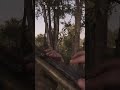 Hunt: Showdown 1896 - Extraction Gameplay