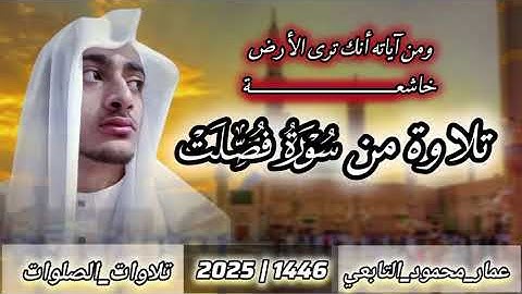 تلاوة من سورة فصلت|عمار محمود التابعي