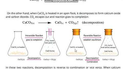 Macroscopic Characteristics Of dynamic equilibrium Chemistry Class 10th Ch 09