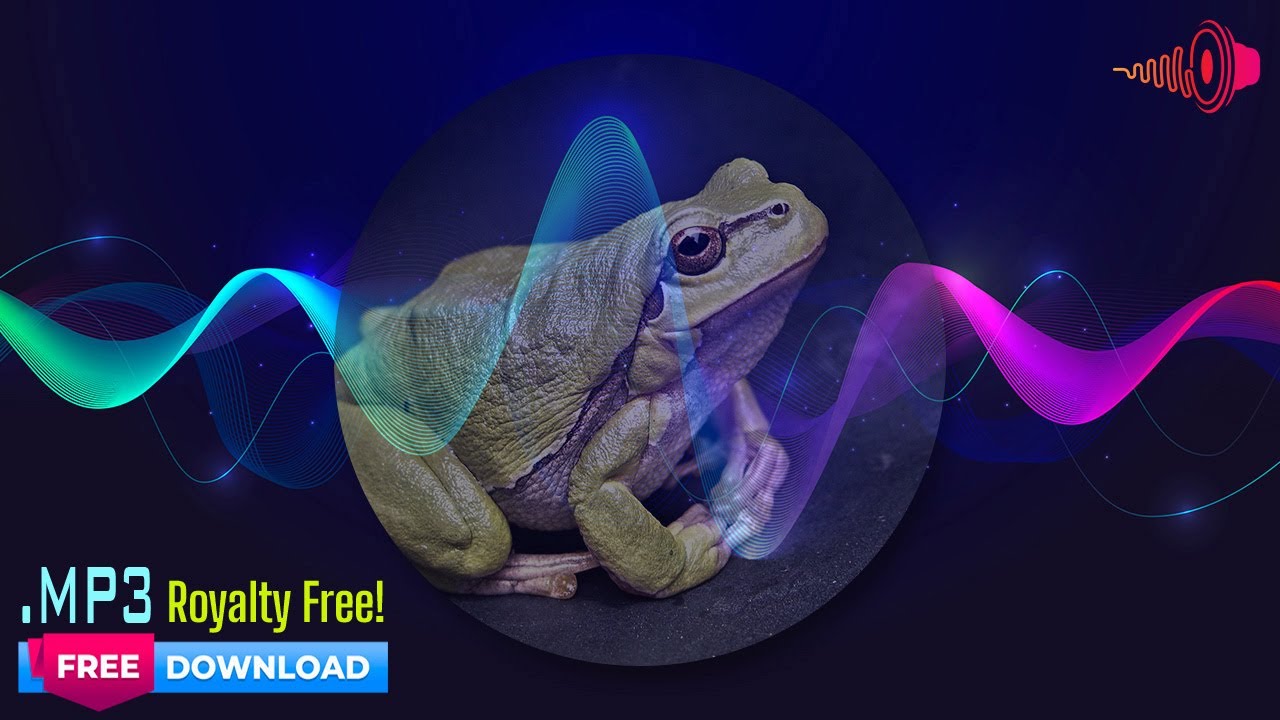 Croak Frogs Chorus Croaking Call Noise Sound Effect Audio - YouTube