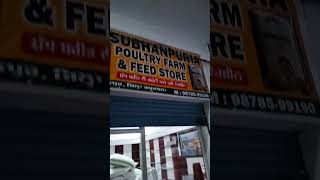 Subhanpuria Poultry Farm And Feed Store Ph-9878599190
