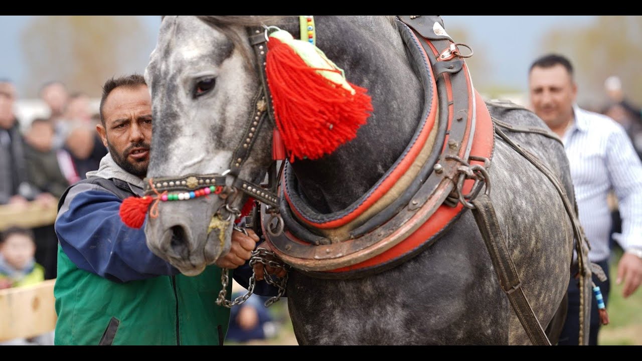 TEŠKA KATEGORIJA - ŠTRAPARIJADA STRUMICA 09.04.2023