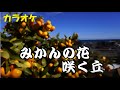 40 カラオケ 唱歌「みかんの花の咲く丘」