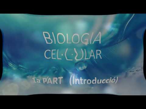Vídeo: Les cèl·lules eucariotes tenen flagels?