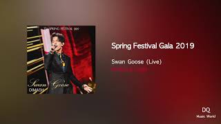 Swan Goose (live) - Spring Festival Gala 2019 by Dimash Resimi