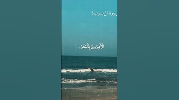#القرآن_الكريم #اكسبلور #المصحف #بسم_الله_الرحمن_الرحيم #راحة_نفسية #سورة_البقرة #حالات_واتس