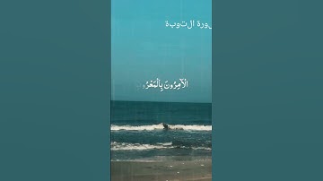 #القرآن_الكريم #اكسبلور #المصحف #بسم_الله_الرحمن_الرحيم #راحة_نفسية #سورة_البقرة #حالات_واتس