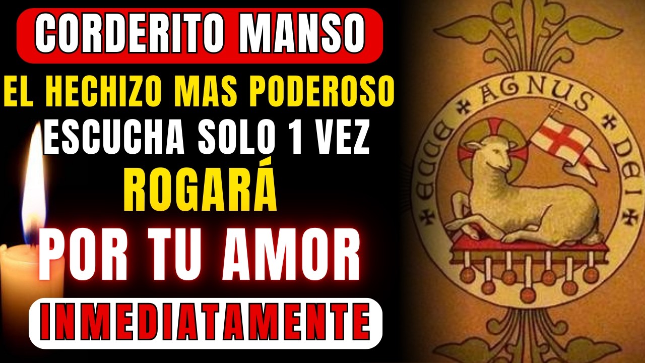 🔴EL CONJURO MÁS PODEROSO DEL CORDERITO MANSO PARA QUE TE RUEGUE HOY ¡HARÁ LO QUE SEA POR TU AMOR!