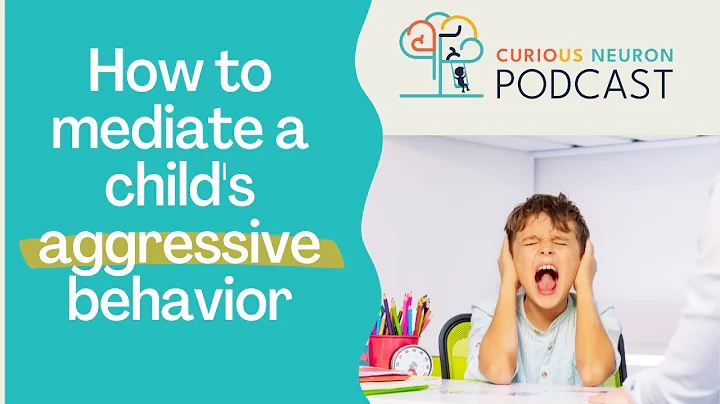 How to mediate a child's aggressive behavior with Dr. Vanessa Lapointe