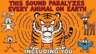 Why Every Animal on Earth Fears This Sound