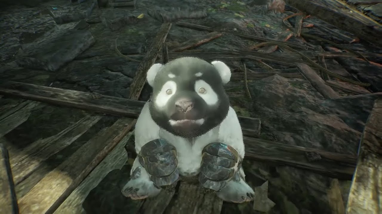 どんなだっけ [WOLONG FALLEN DYNASTY]