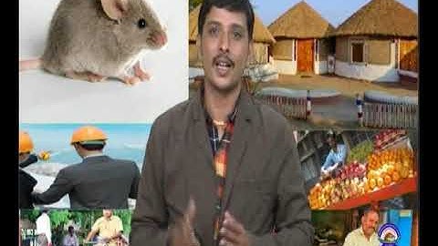 VCP-Std5-Sem2-Unit5-Epi-5(62)-Act 2(E,F)