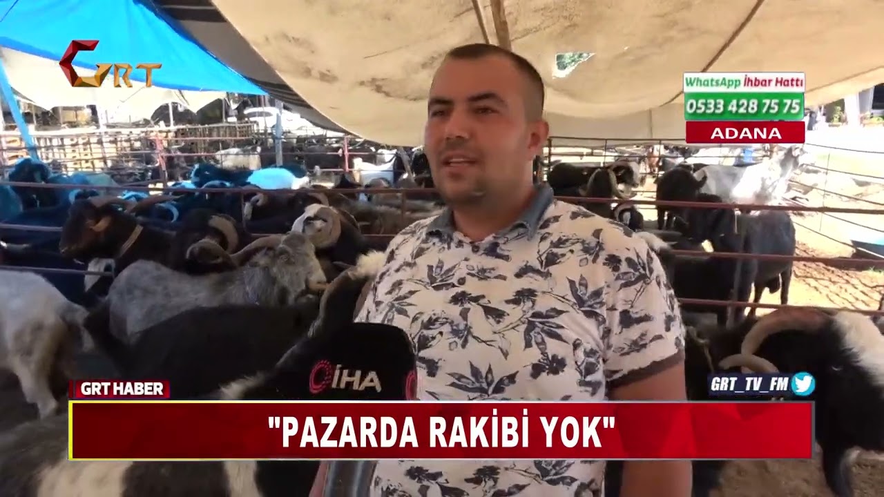 187 KİLOGRAM AĞIRLIĞINDAKİ ’PAŞA’ İSİMLİ TEKE PAZARIN GÖZDESİ