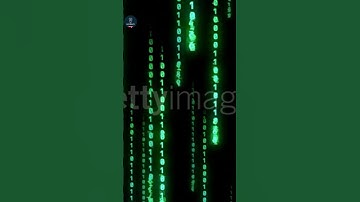 Fact#4 | Web3 Explained: The Future of the Internet | #facts #shorts #web3