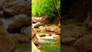 Forest Stream Calmness 🌳💙