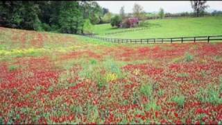 Mozart s 40th Symphony remix ~La bellezza della natura ...