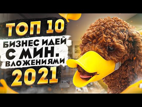 ★ТОП 10 Бизнес Идеи 2021 С Минимальными Вложениями. Мини Бизнес на Дому.Топ Бизнес Идей