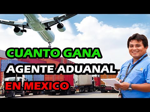 Asi es la Vida de un Agente Aduanal en México ( NO CREERÁS CUANTO GANAN )