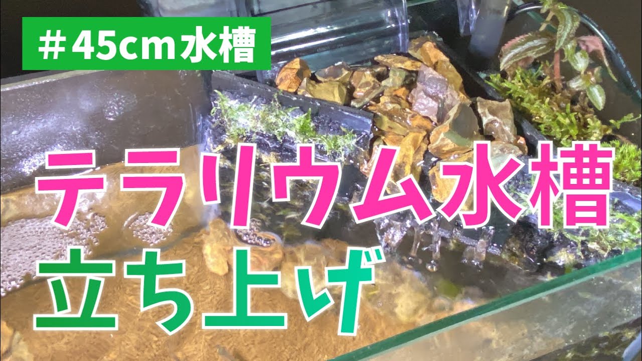 45cmアクアテラリウム】火山×滝×陸のアクアテラリウム水槽を立ち上げ