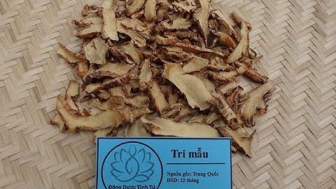 TRI MẪU: Vị thuốc thanh nhiệt tả hoả, tư âm nhuận táo